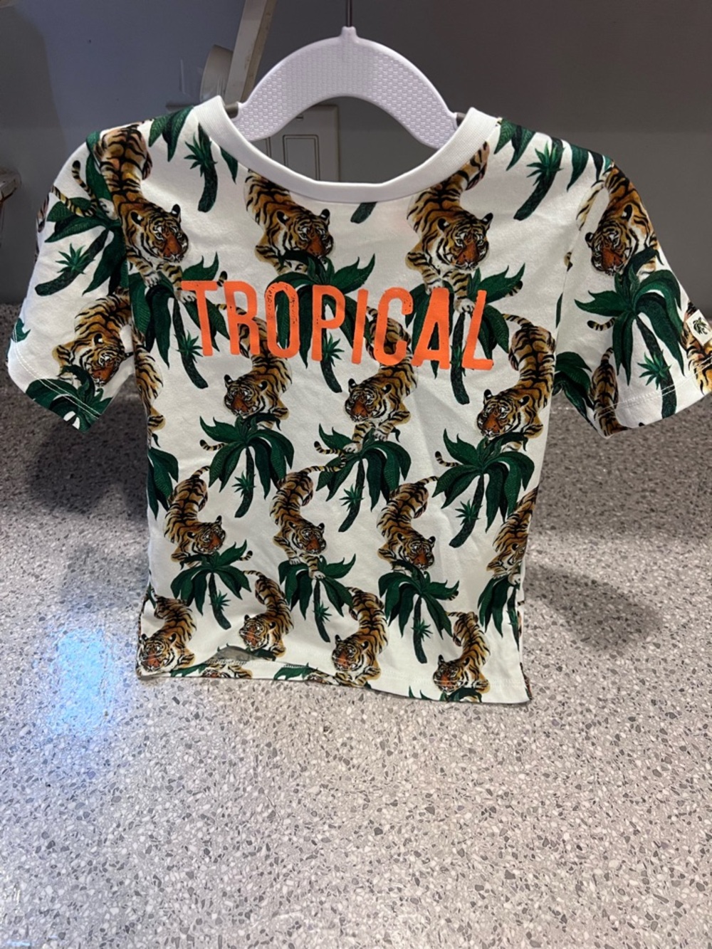 H&M Tiger & Jungle Print Tee in Green, Orange, Brown (2-4 years)